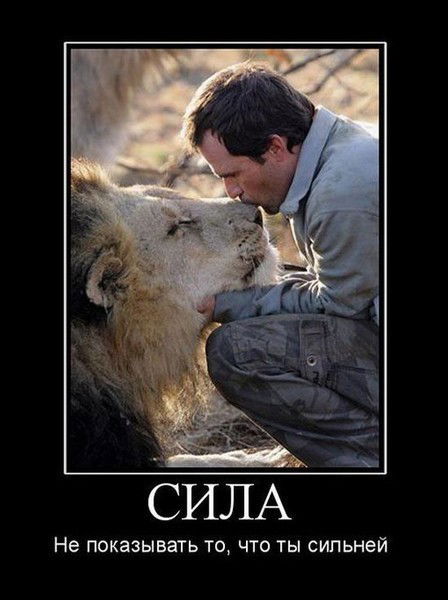 **one**the**_King World_*^*boss*^*^delux