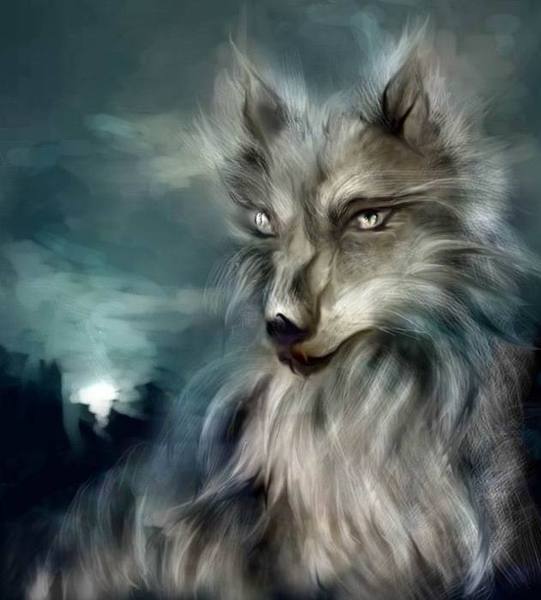 Катя Морозова