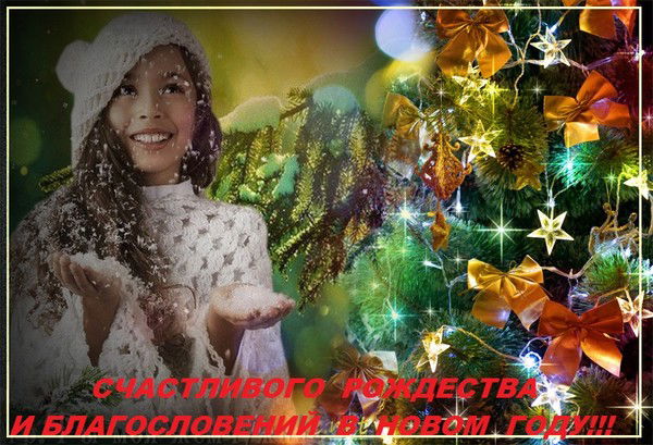 Елена Агасанова