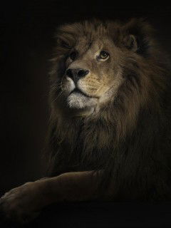 Василий Соболев