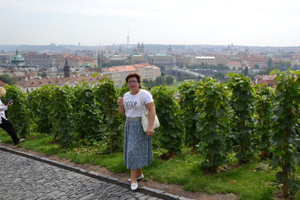 Елена Пахомова