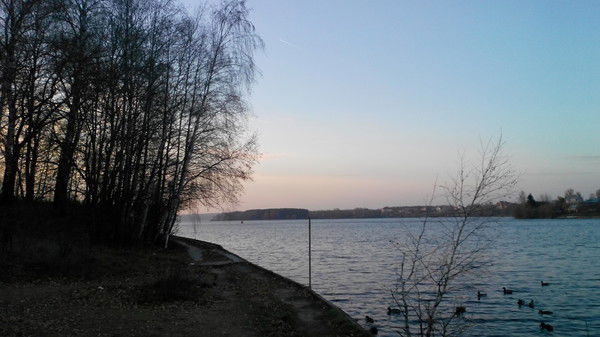 Алёна Земцова