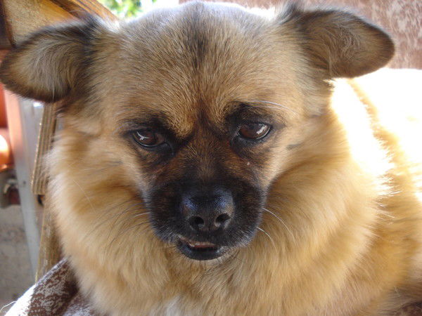 Ириска Баталова