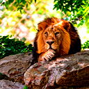 Сергей Жебоедов