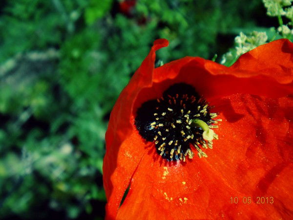 Karligash Kuzhibaeva