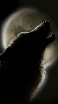 Султанбек Оздоев