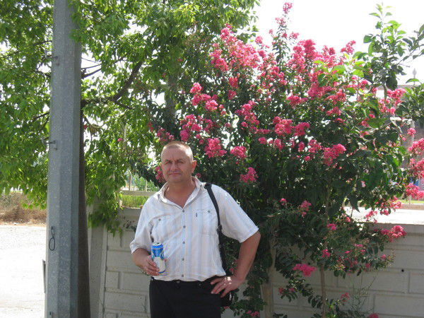 Александр Палей