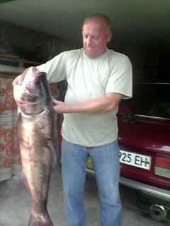 Володя Косоруков