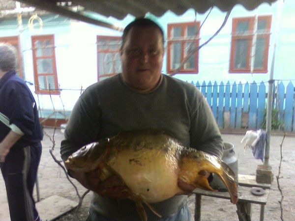 Денис Деордиев