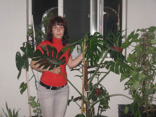 Олеся Шипицына