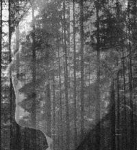 Виктор Кулаков