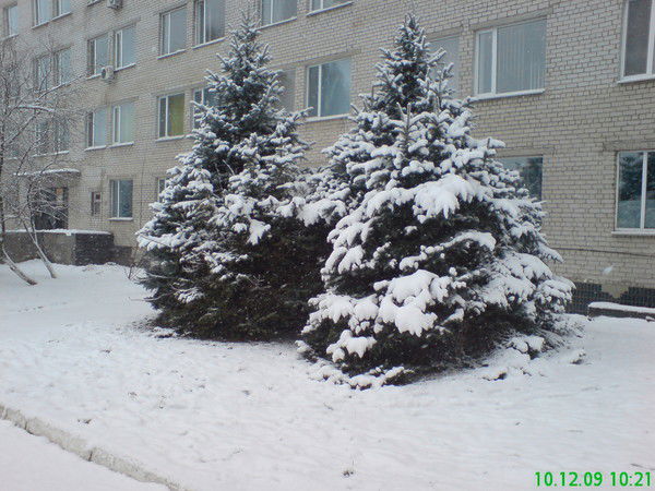 Светлана Богдан