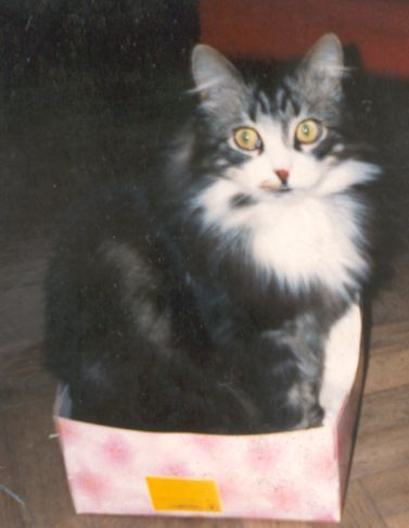 Елена Бережанская