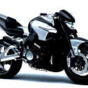 Александр Елков