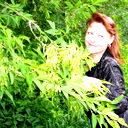Вера Глазунова