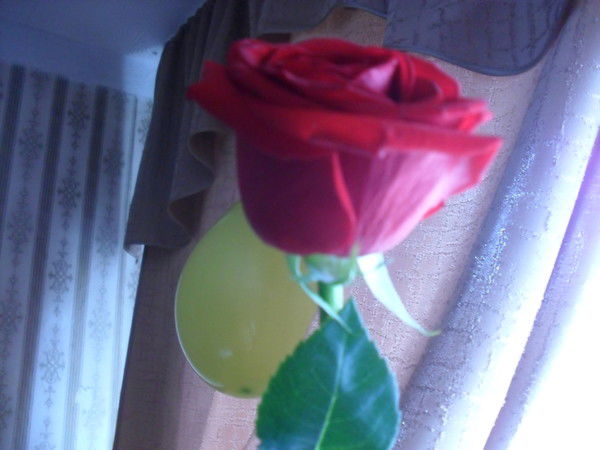 Анна Астапенко