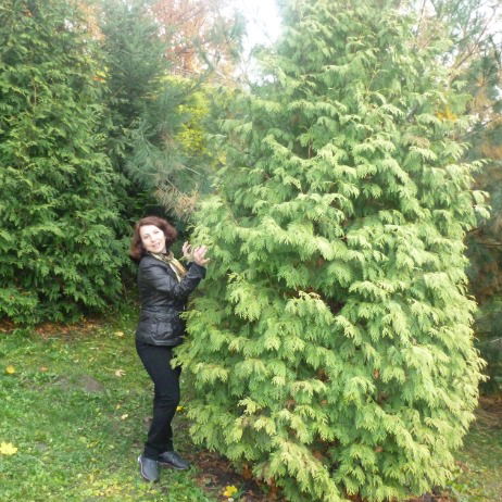 Инна Фарнина