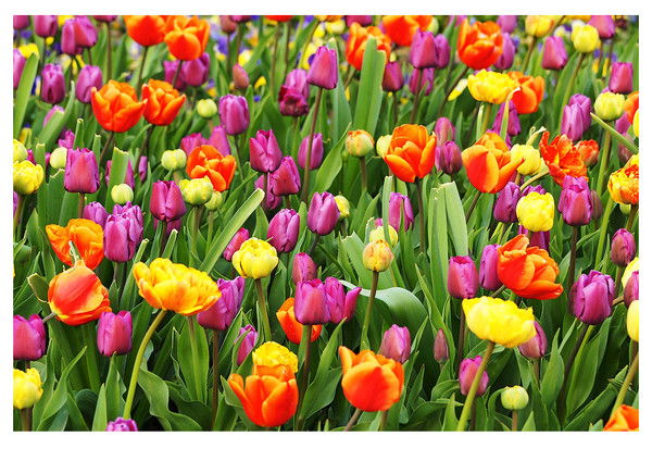 Каткова Наталья