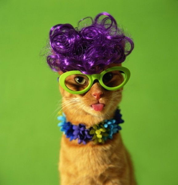 Наташа Филяева