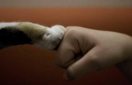 Диана Садыкова