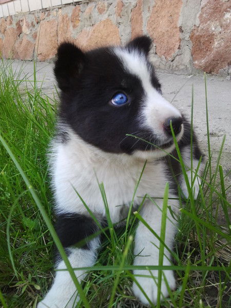 Бекзат Толымгожинов