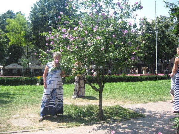 Надежда Харабардина