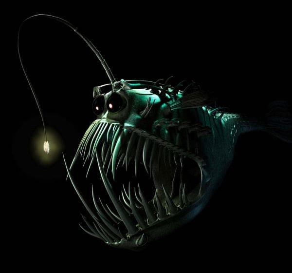 Владимир Войткевичус