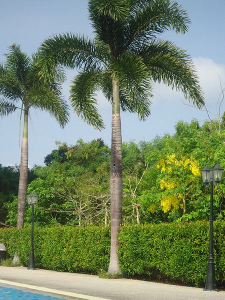 Татьяна Бойкова