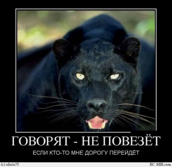 Евлампий ****