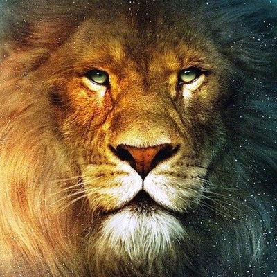 Денис Николаев