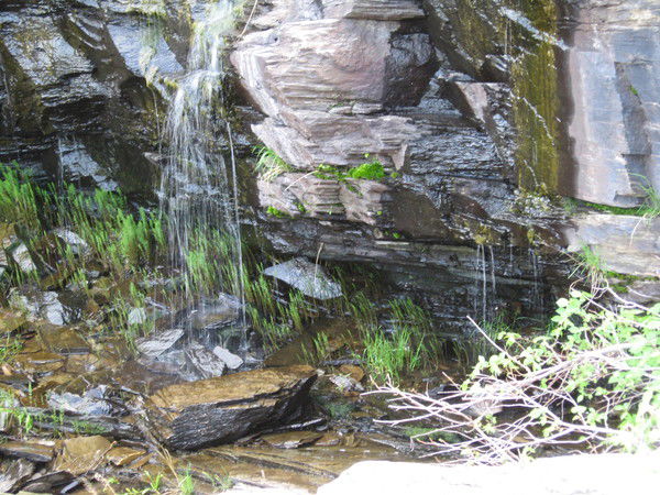 Галина Романова