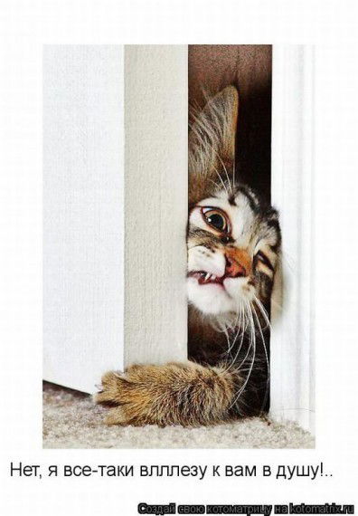 Надежда *****