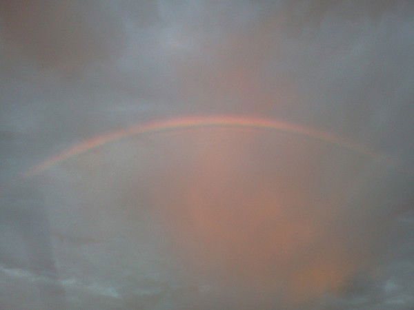 Татьяна С***