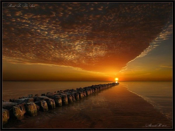 Денис Зюнин