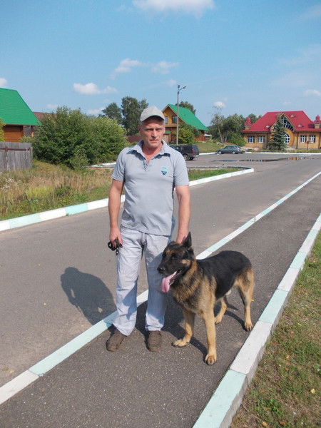 Александр Маркевич