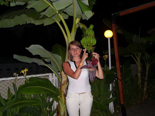 Елена Колеватова