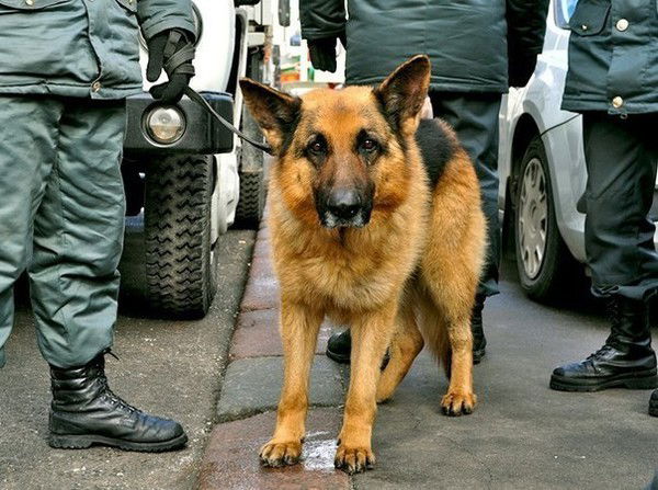 Александр Фёдоров