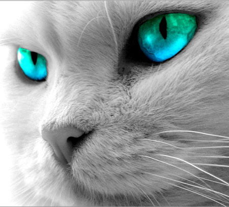 Дионисий Део