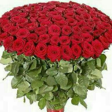 Жанагул Жапарова