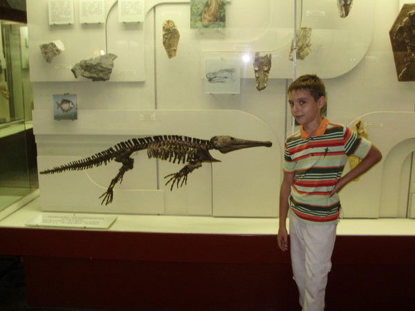 Влад Гулидов