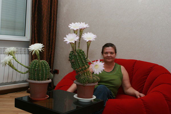 Людмила Луковцева