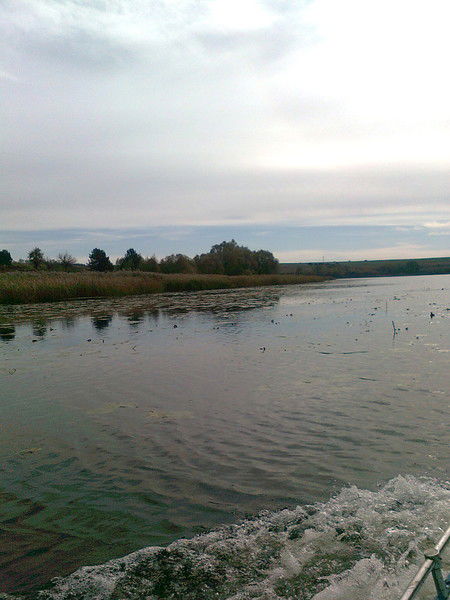 Владимир Бондарь