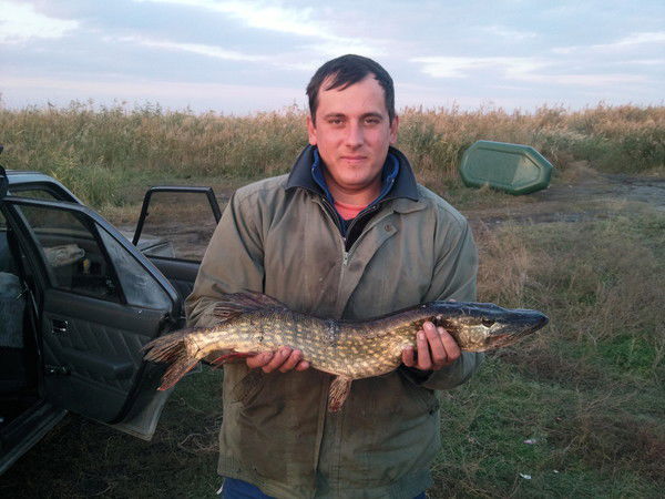 Валерий Глухой