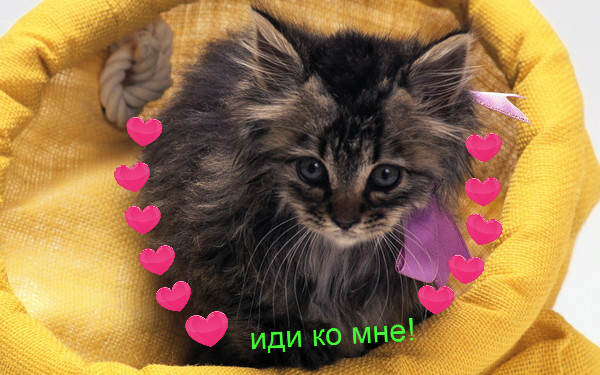 Лариса Гинатуллина