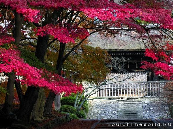 Елена Русская