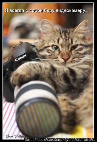 Вадим Вершинин