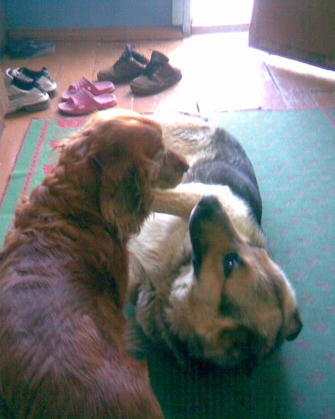 Владимир Зинченко