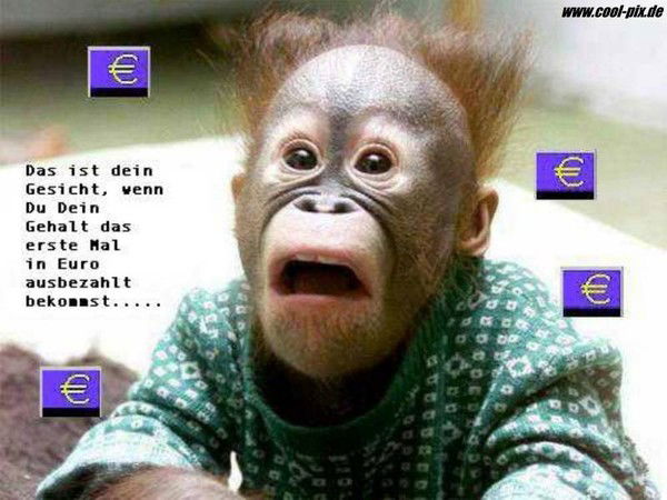 Толя Скворцов