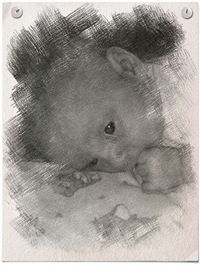 Татьяна Адарацких