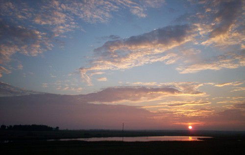 Алексей Городничий